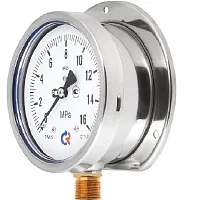 ТМ-620РКТ.00(0-25)MPa.М20х1,5.1,0 Зад. Фланец УТ-00000667