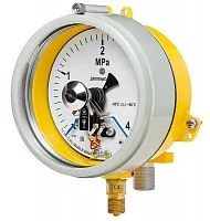 ДМ2005ф Сг1Ехd 2,5 МПа кл.1,5 исп IV УТ000014929