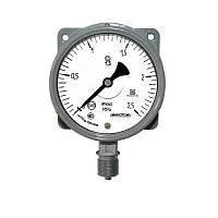 МТПСф-100-ОМ2 Ф 2,5 МПа кл.1,5 зад. фланец УТ-00000864